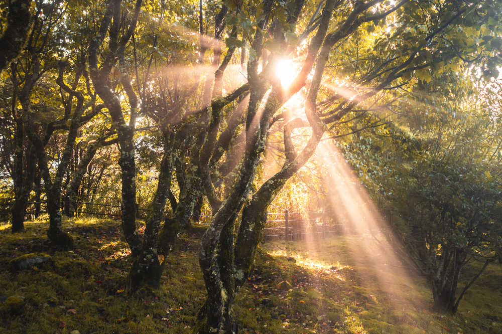 if it feels like hope, it is