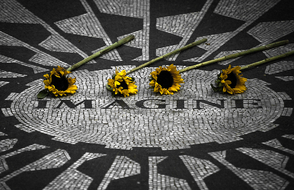 imagine dying sunflowers