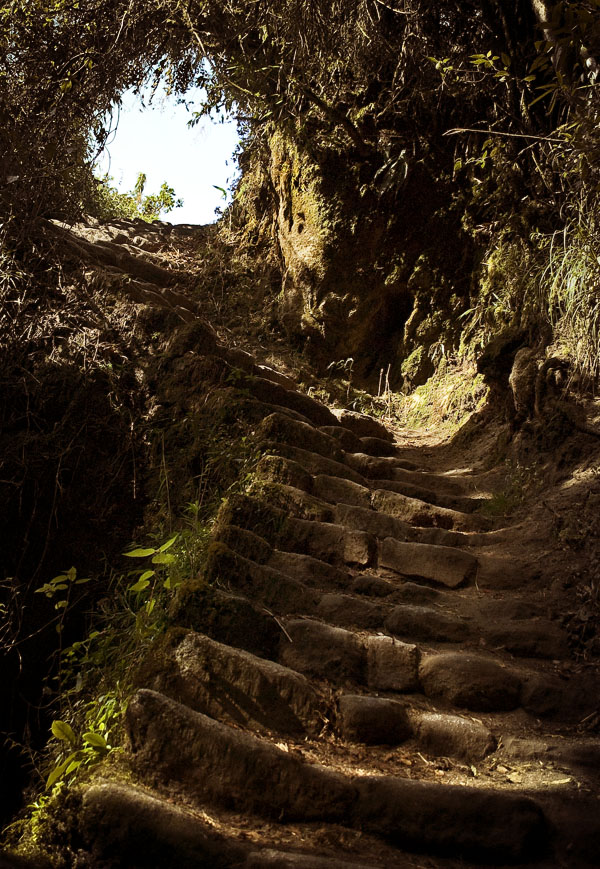 inca steps