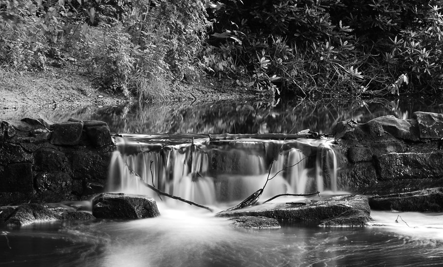 meanwood beck