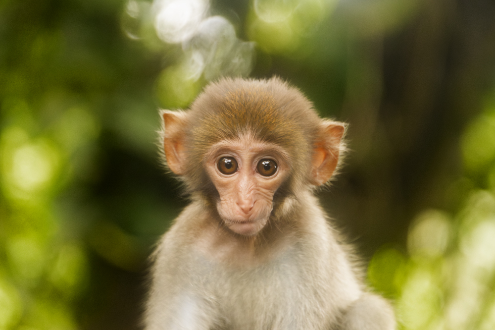 one for the real confused