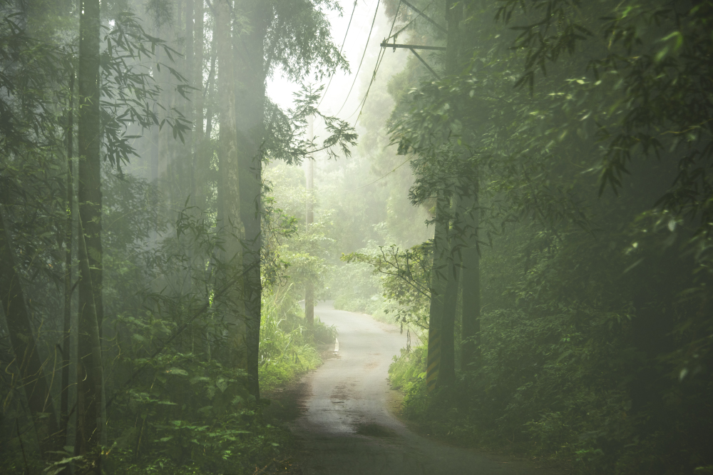 sure we'll get this right next time