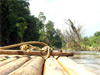 bamboo raft