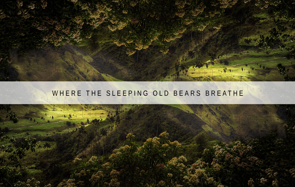 where the sleeping old bears breathe