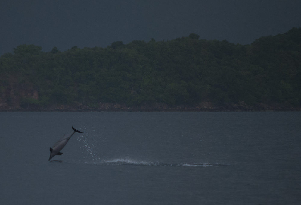 a better way to fall