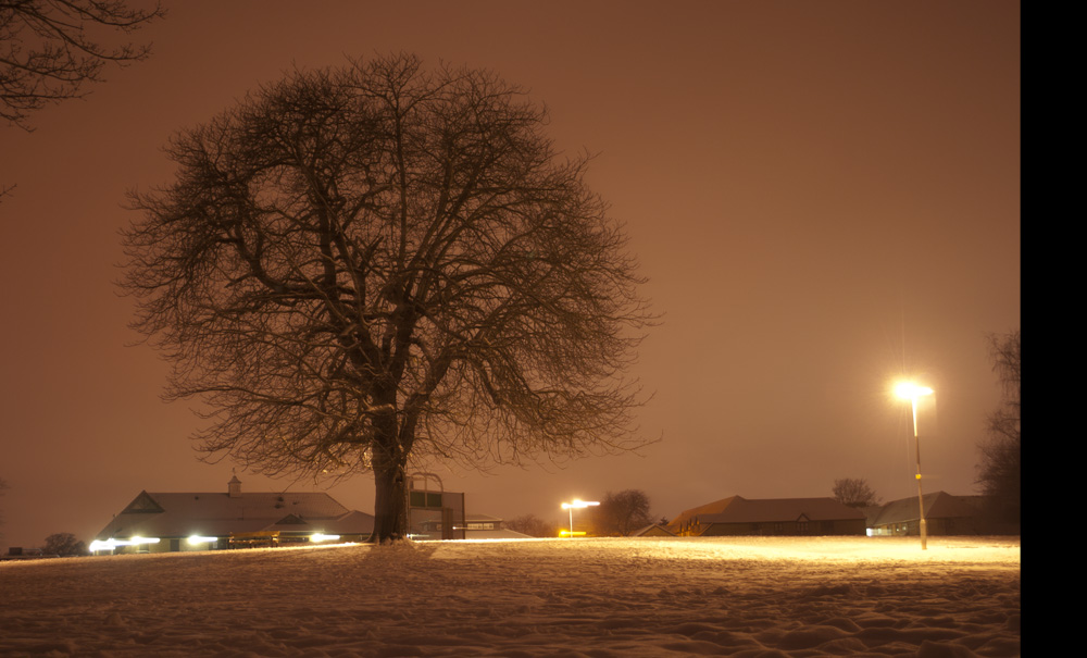 all your pain will end here