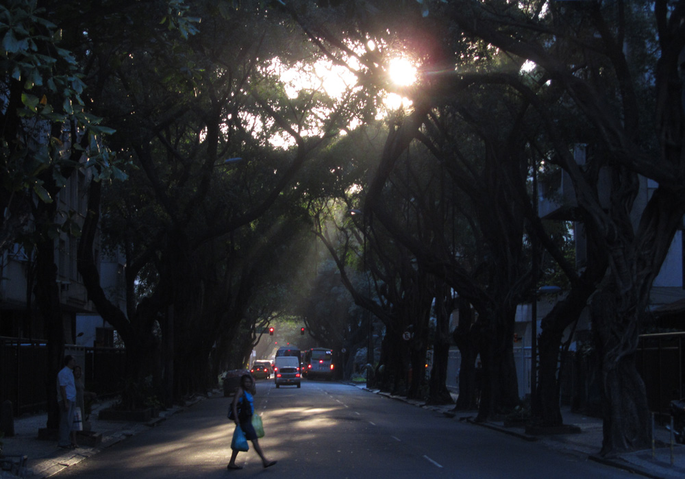 and the sun shines down on me