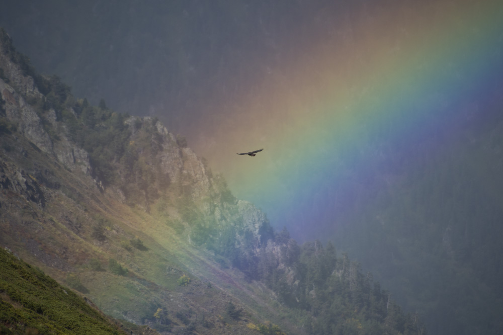 a song of redemption