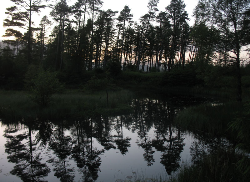 before i get eaten alive