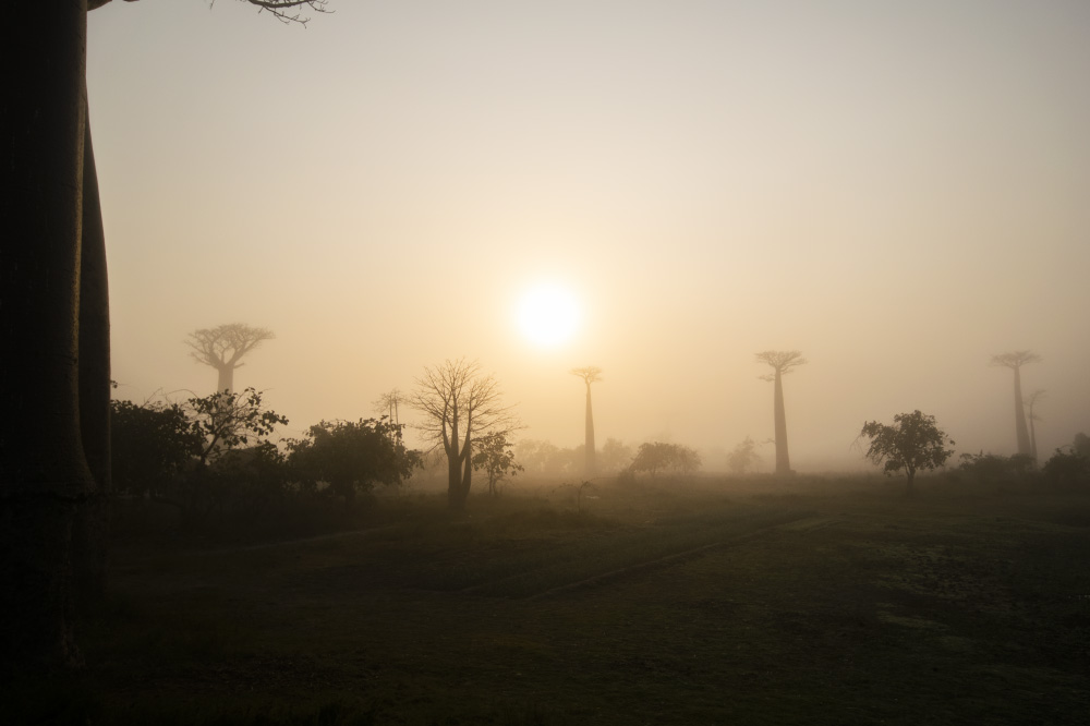 burn the edges off the day