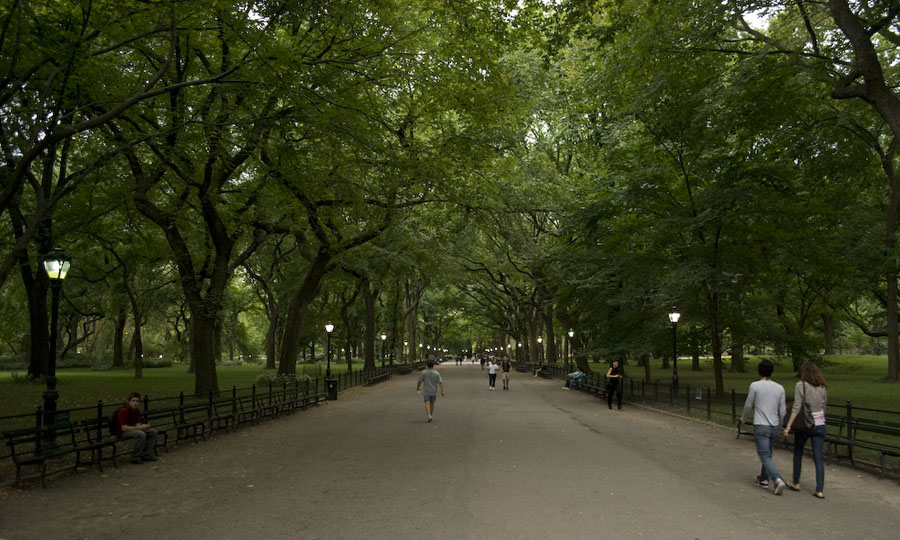 central park
