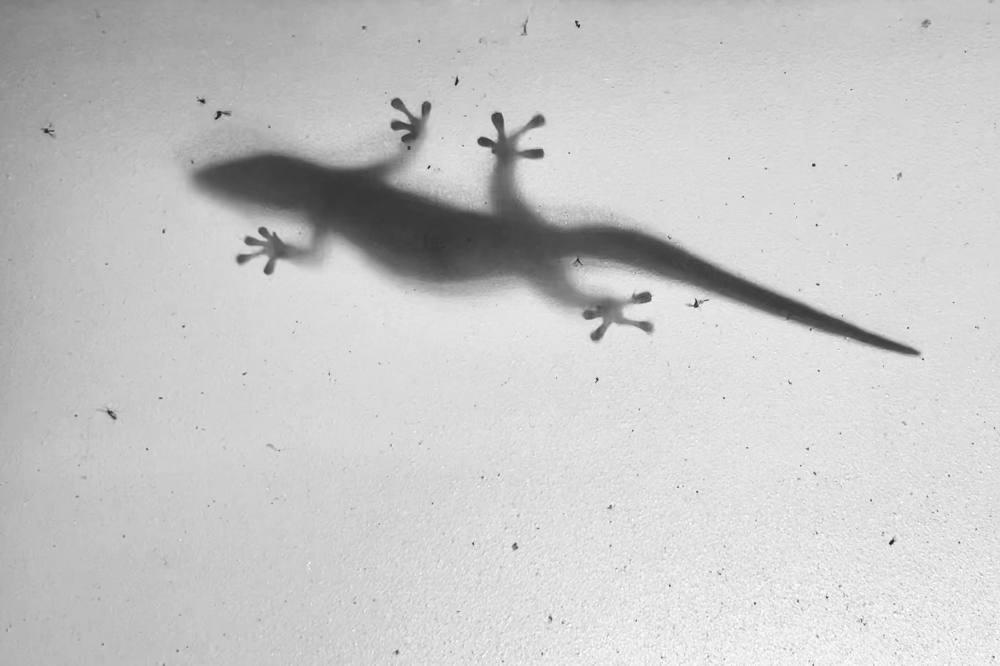 climbing up the walls