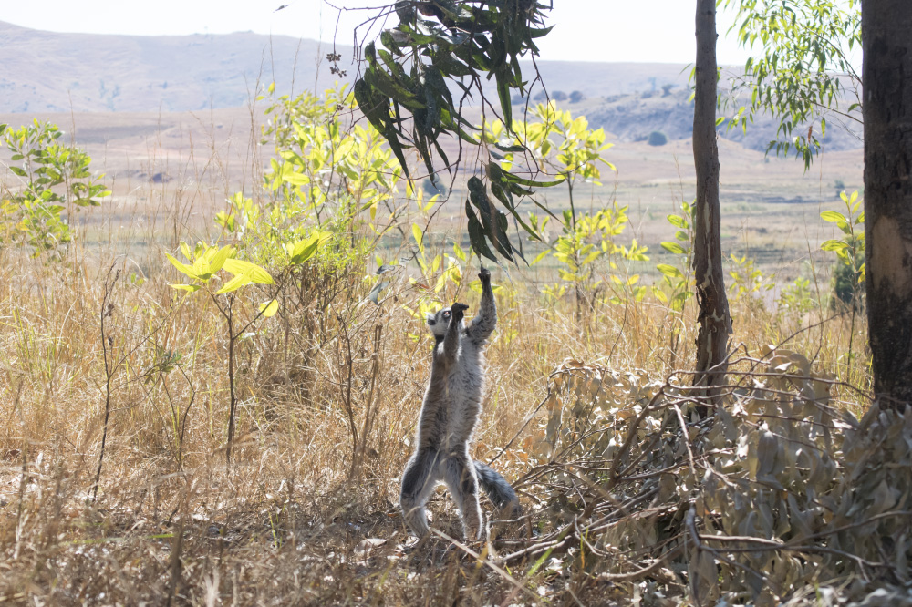 close enough to be in reach