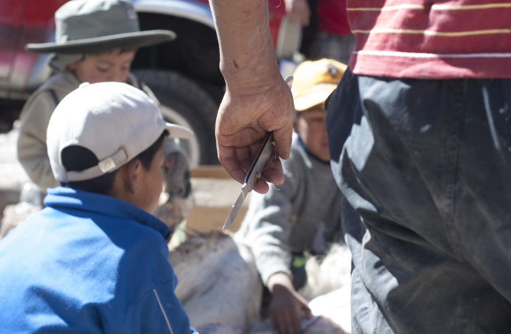 closer comes the screaming knife