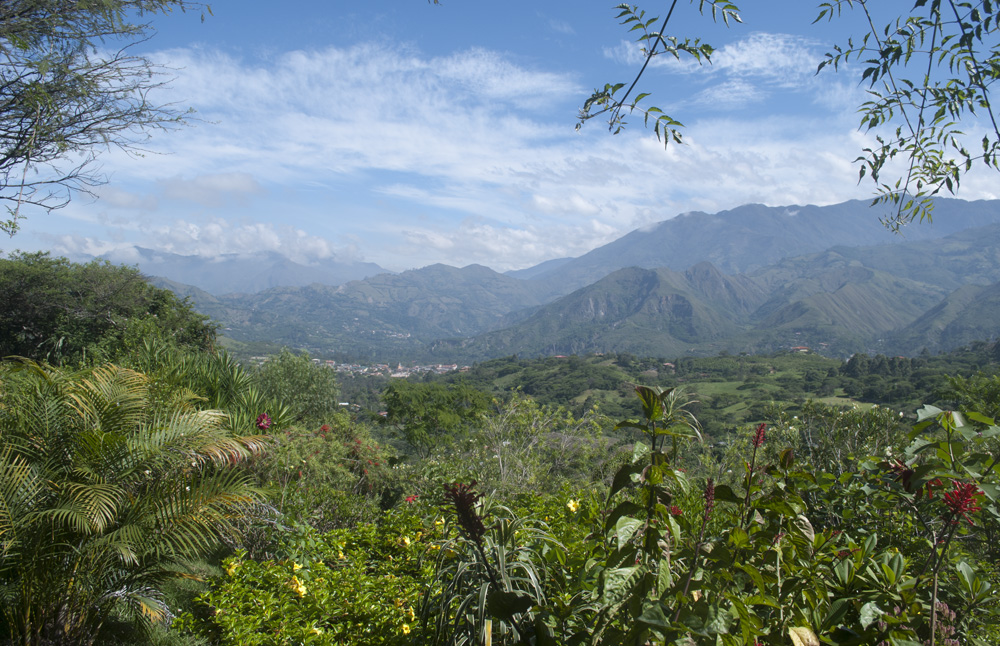 count every beautiful thing we can see