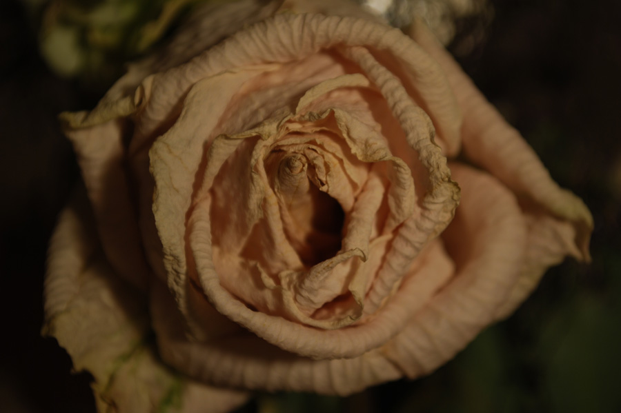 every beginning has an end