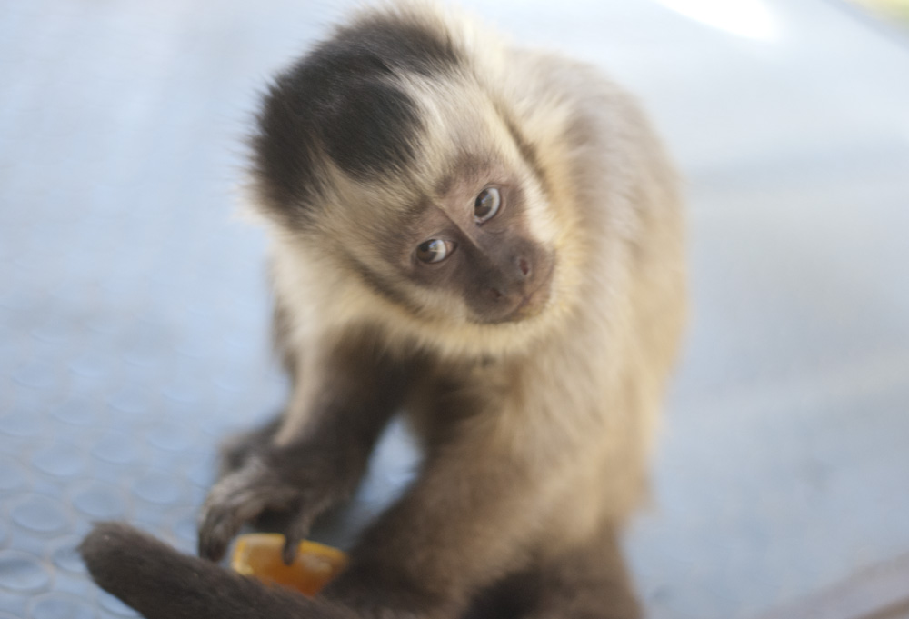 everybody loves me baby