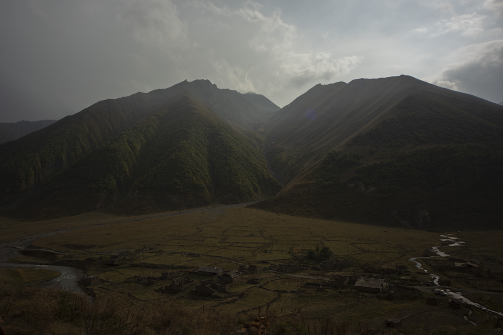 gold and green and true