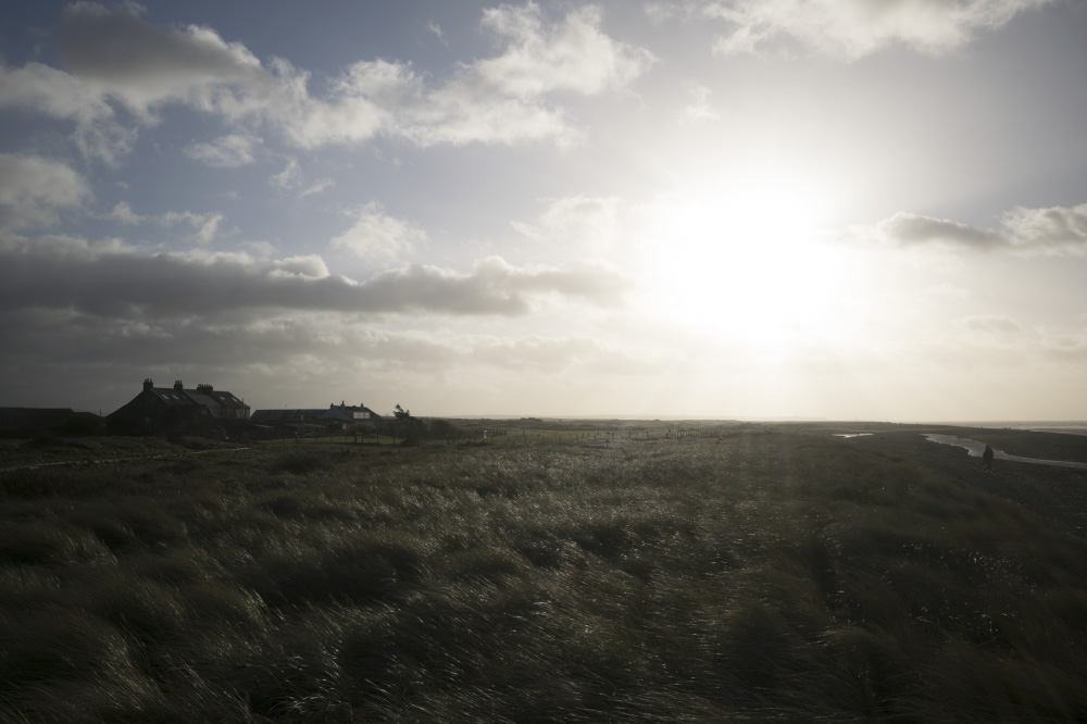 grow up and blow away