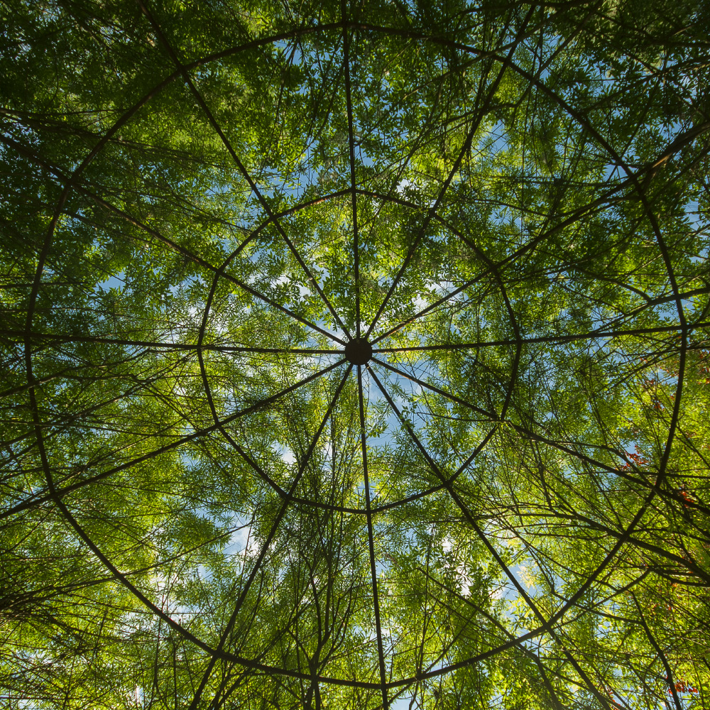 if i can make myself believe