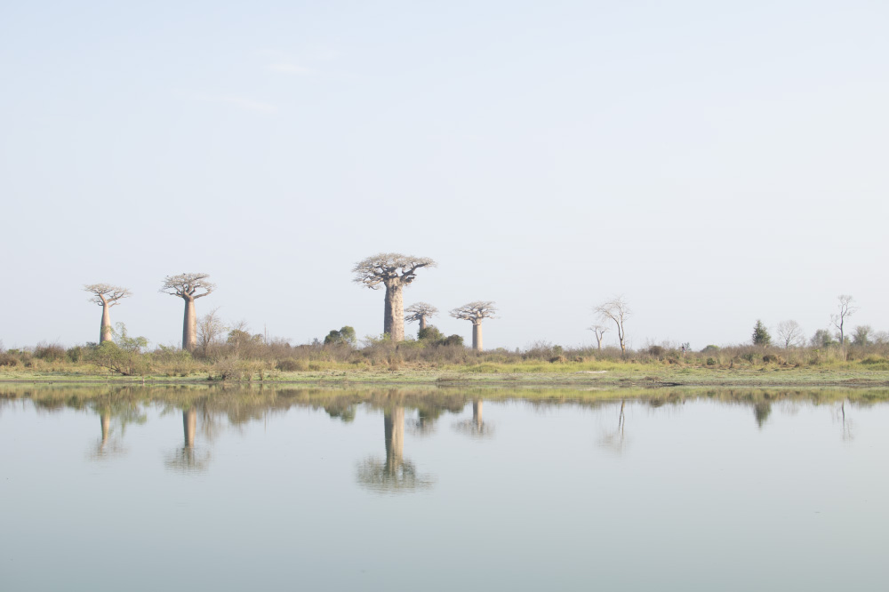 if the silence takes you