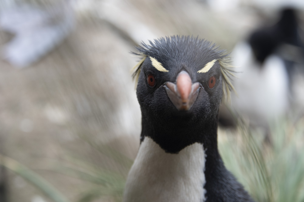 if you're feeling sinister