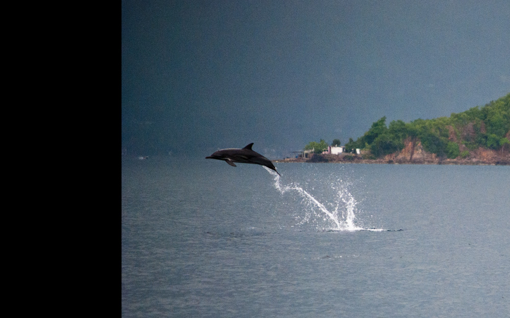 i like the way you move