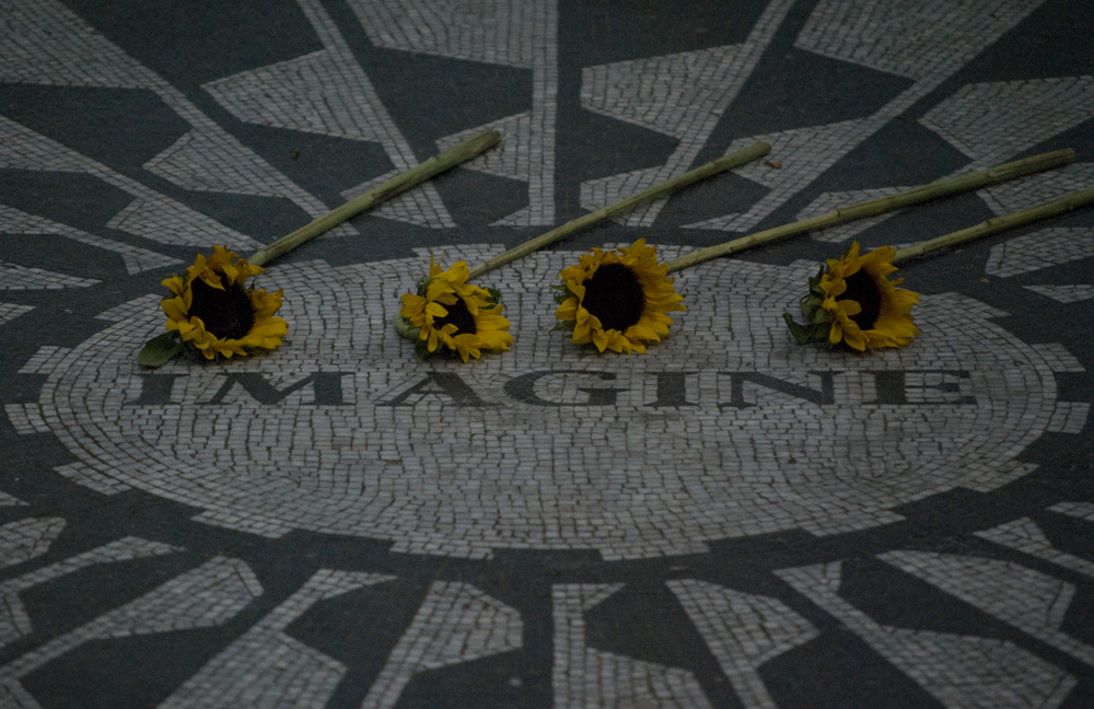 imagine dying sunflowers