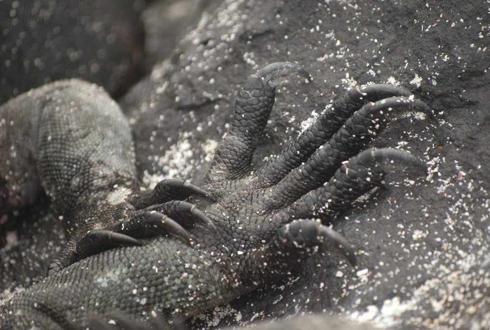 i won't let you go away this time