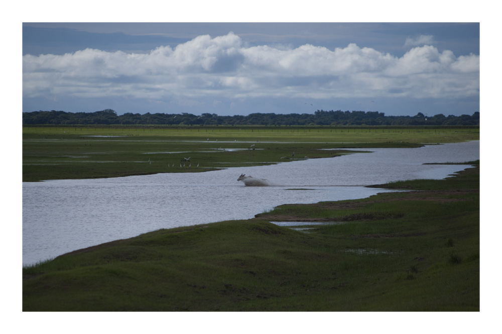 let's cross the river now