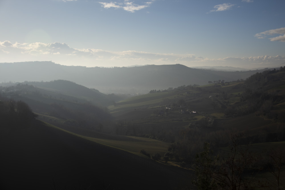 lured by lilting melody