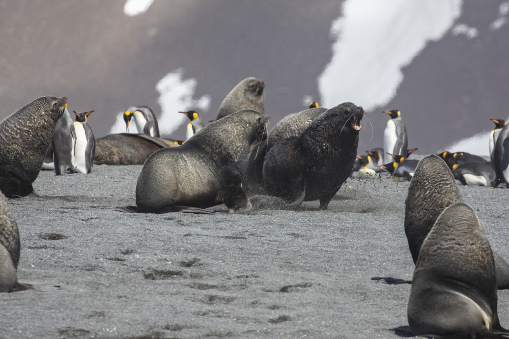 motherfuckers i'm hostile