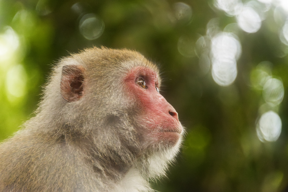 one for the real confused