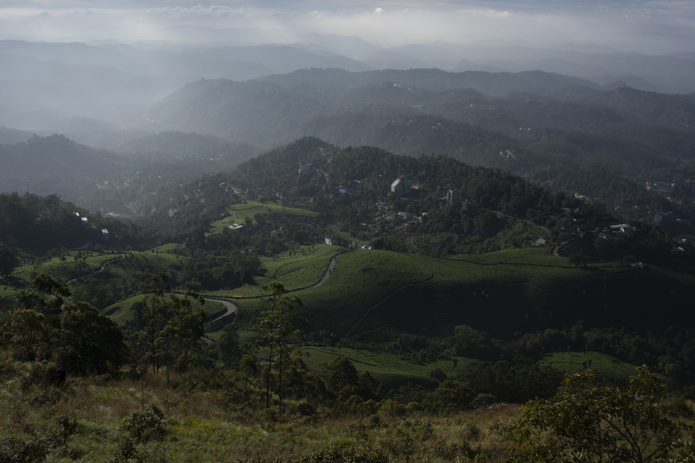 painter in your pocket