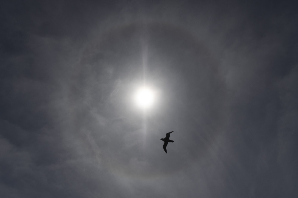 pull me in to your perfect circle