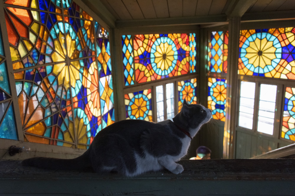 sleep, eat food, have visions