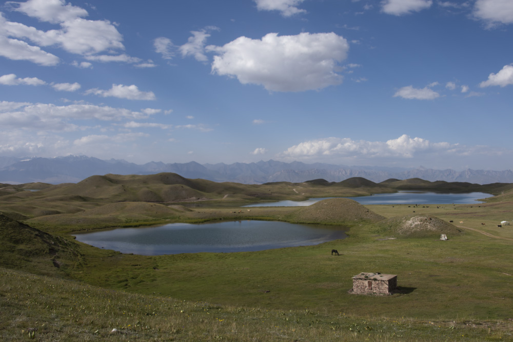 somewhere no one's expecting