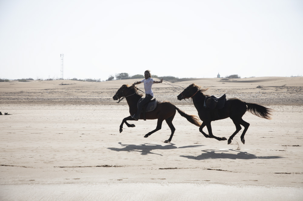 speed kills but beauty lives forever