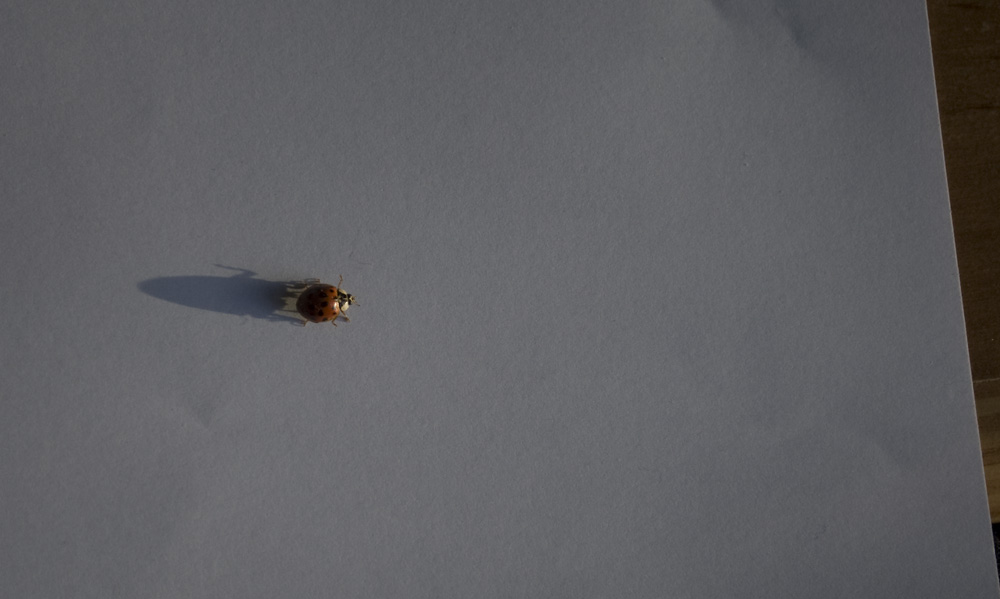 still got miles to go