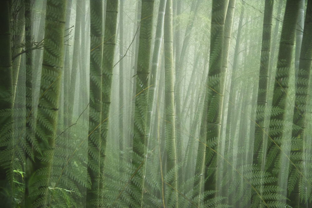 sure we'll get this right next time