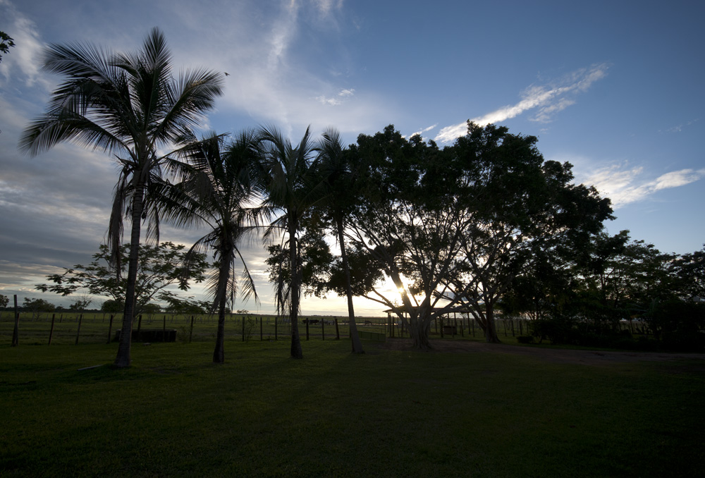 the day when it's dying