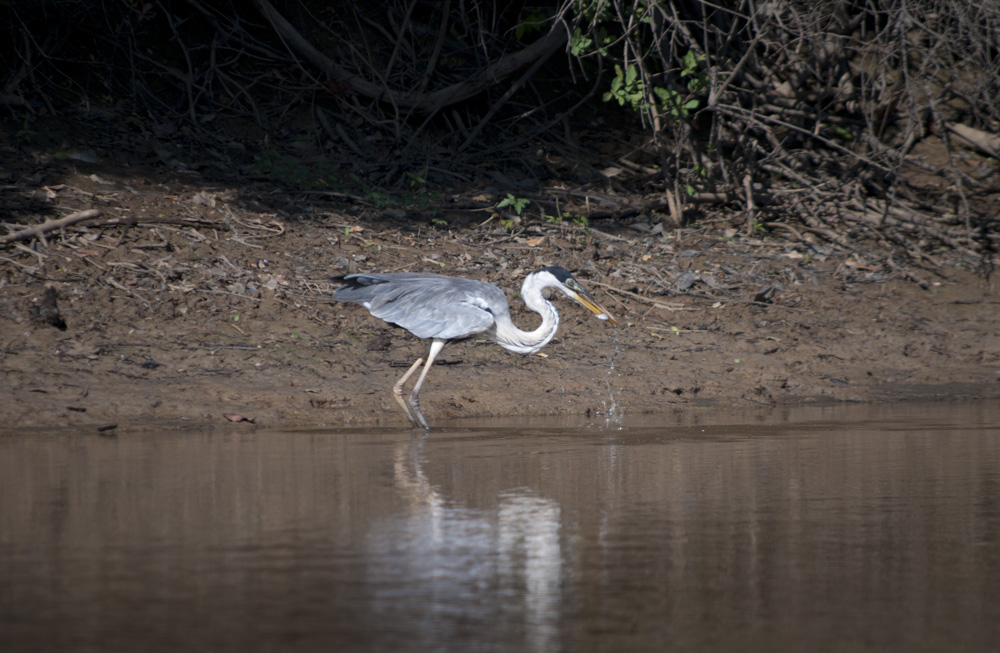 the hunter and the fisherman