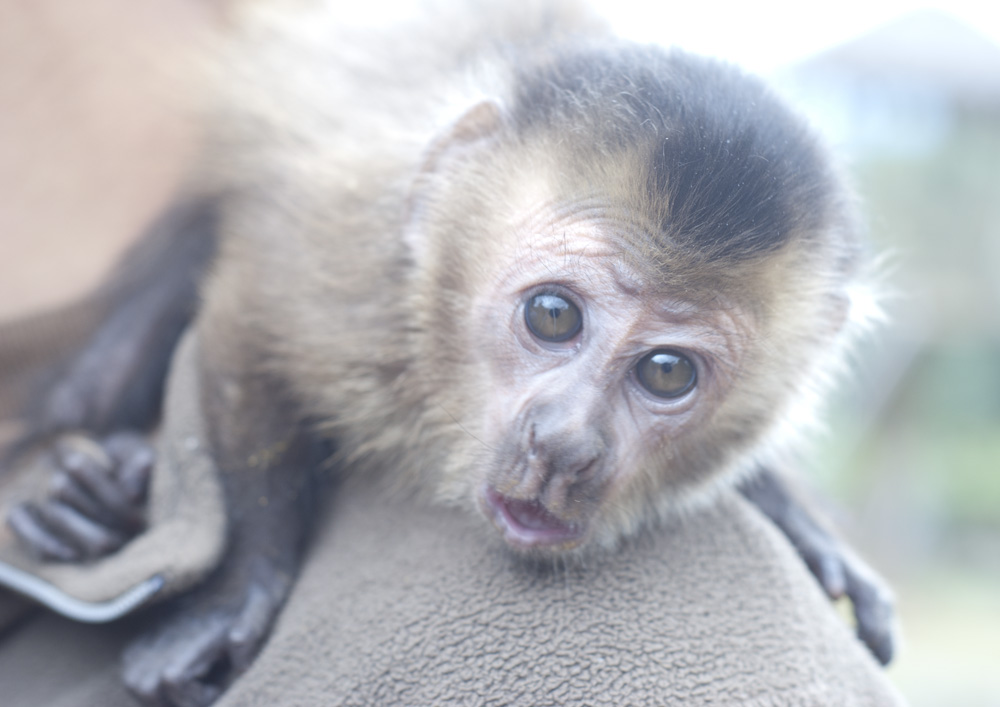 the look of surprise