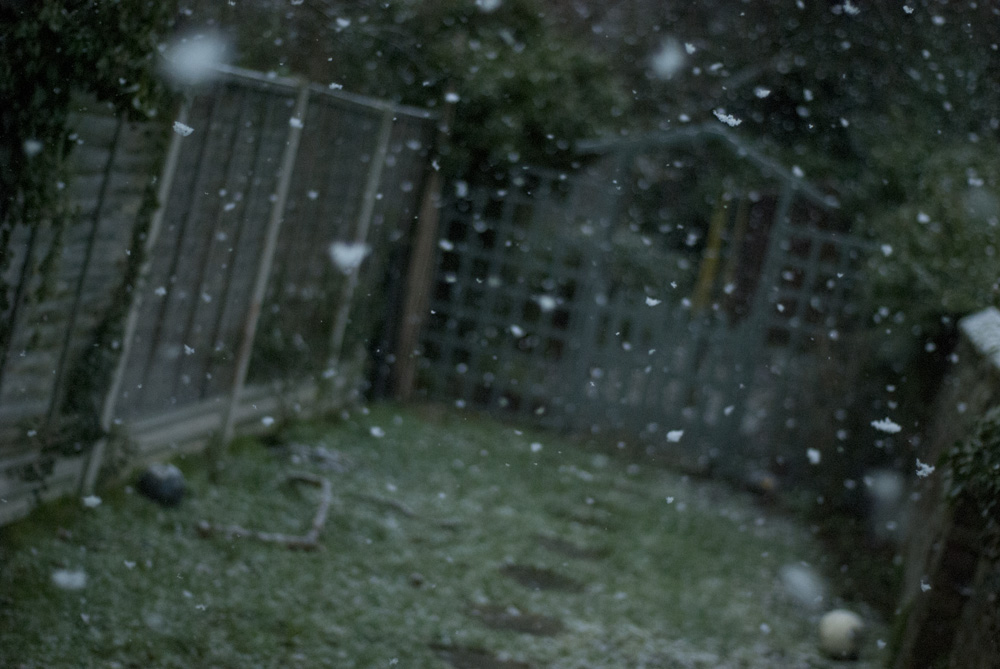 then the snow started falling