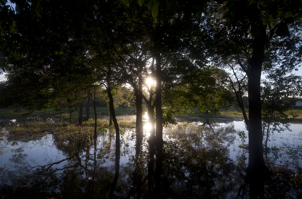 there's happiness in death