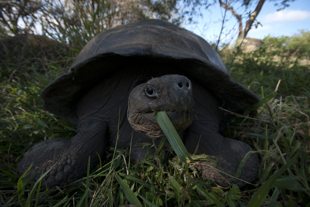 there's mysteries inside