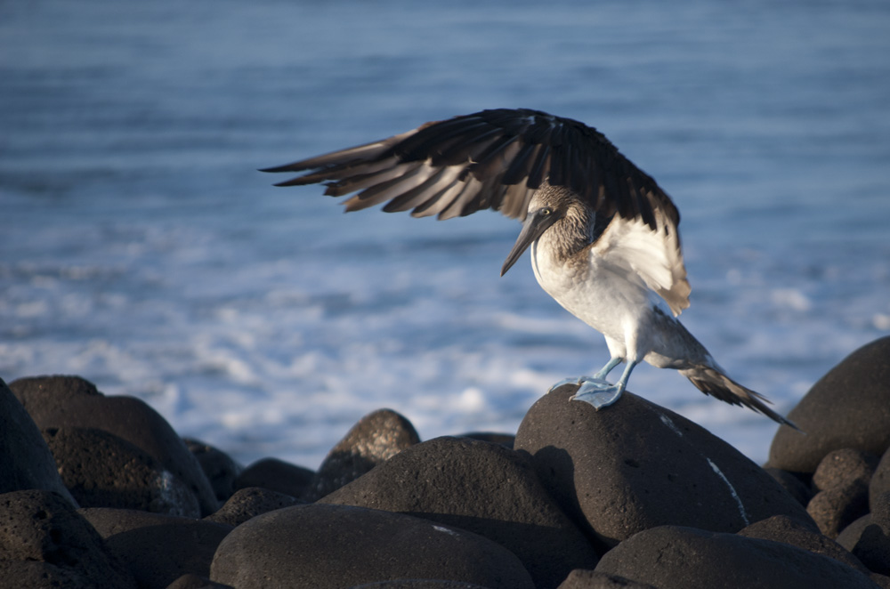 trying to rid you from my bones