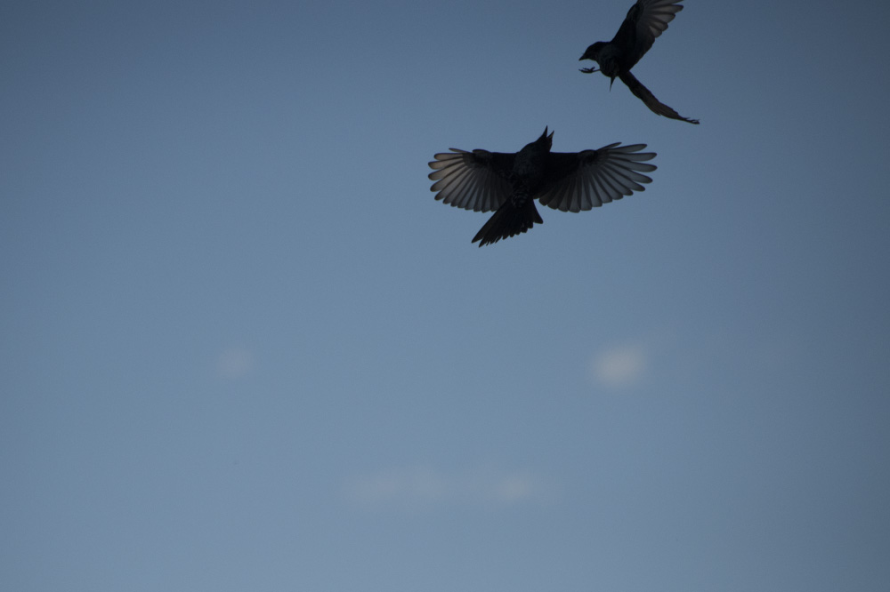 when you move i move with you