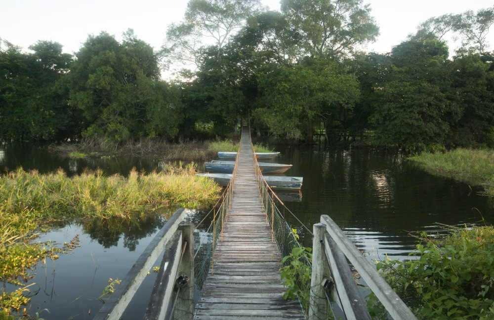 you'll be reunited on the other side